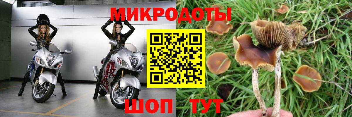 Павлово  Псилоцибиновые грибы MAGIC MUSHROOMS  Вход с VPN 
