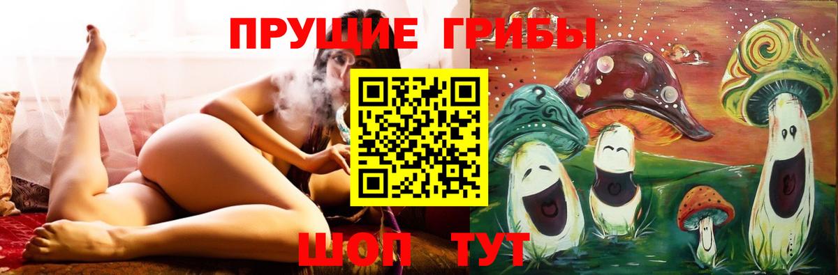 Псилоцибиновые грибы GOLDEN TEACHER Павлово